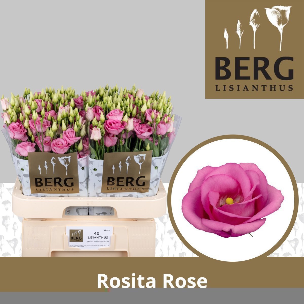 E2B5F894C9B659CBDAF69EB8324588C4C718B07C64223EF790DFC8CE4B0697D7.jpg Lisianthus Do Rosita Pink - immagine 1