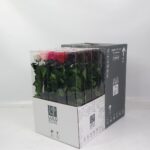 Preserved Rosa 50cm Stem Assorted