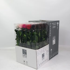 Preserved Rosa 50cm Stem Assorted