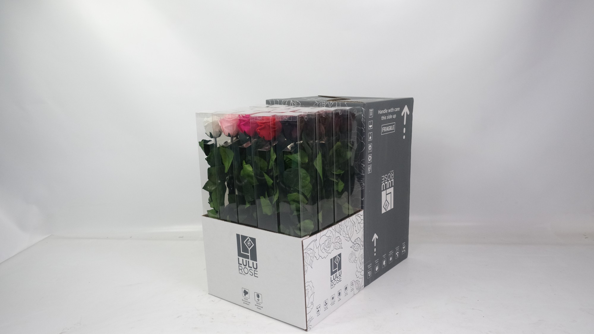 Lulu20Rose20-20Pres20Rosa20Stem20Assorted.jpg Preserved Rosa 50cm Stem Assorted - immagine 1