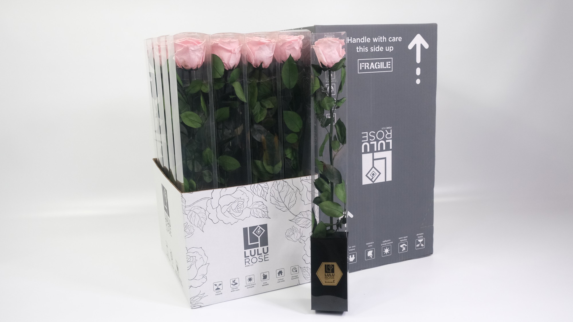 Lulu20Rose20-20Pres20Rosa20Stem20Baby20Pink.jpg Preserved Rosa 50cm Stem Baby Pink - immagine 1