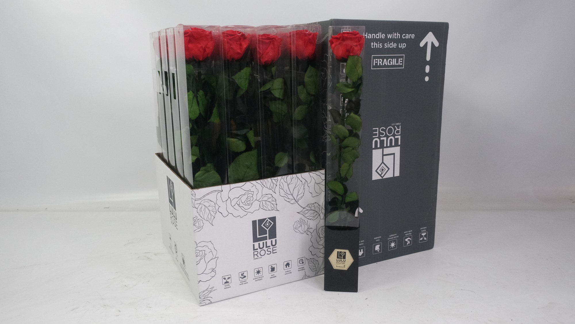 Lulu20Rose20-20Pres20Rosa20Stem20Red20Passion.jpg Preserved Rosa 50cm Stem Red Passion - immagine 1